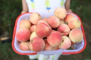 每日大赛吃瓜网直达